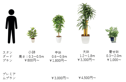 観葉植物レンタル料金表