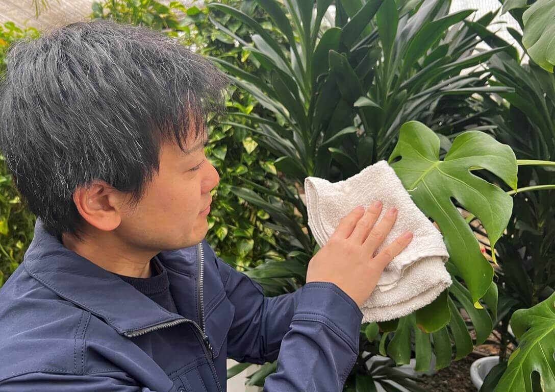 観葉植物の管理2